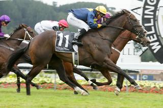Group 1 Glory for $5,500 Purchase. Photo: Trish Dunnel.